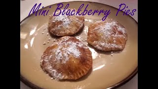 Air Fryer Berry Hand Pies  Easy Dessert Recipe  First Tries Cooking [upl. by Cloutman]