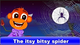 Itsy Bitsy Spider  Movie with Monkey Lyrics and karaoke [upl. by Elisabeth457]