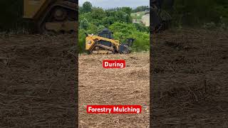 Cat 299 Forestry Mulching [upl. by Akenahc574]