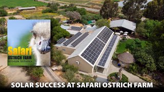 One Year of Solar Success Safari Ostrich Farm [upl. by Halley]