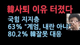 국힘 지지층 63 “비상계엄 내란 아냐”한동훈의 계엄 대응에 802 잘못하고있다 갤럽 [upl. by Eram523]