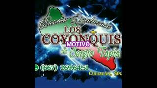 KARAOKE DE PUNTITAS LOS COYONQUIS DE SERGIO TAPIA [upl. by Noillid2]