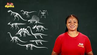 Vertebretes and Invertebrates  Grade 6 Science Part 3 [upl. by Niawtna]