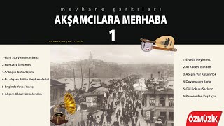 Akşamcılara Merhaba 1  Meyhane Şarkıları [upl. by Amathist]