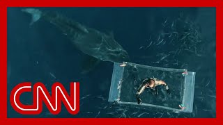 New heartstopping footage of massive great white shark attack [upl. by Akire]