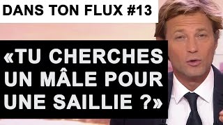 Tu cherches un mâle pour une saillie  DansTonFlux 13 [upl. by Enattirb]