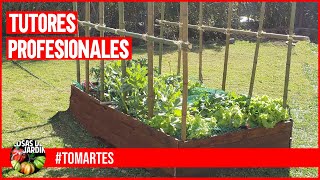 HACEMOS TUTORES PROFESIONALES PARA TOMATES  MARTES DE TOMATES Ep 10 [upl. by Billie]