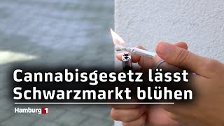 Hamburger Richterverein sieht große Lücken in CannabisLegalisierung [upl. by Hewes]