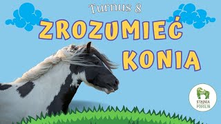 LATO 2024 ☀️ Turnus 8  ZROZUMIEĆ KONIA z ranczowewi 🐴💛 [upl. by Bull]