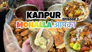 Mohalla Aapka Kanpur  Papdi Chaat Badnam Kulfi Kachori Sabzi Nashta Rahul Ke Khaste  E03 [upl. by Reiner]