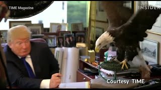 Trump gets attacked by bald eagle [upl. by Anuhsal]