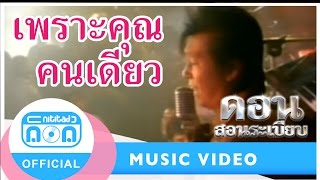 เพราะคุณคนเดียว  ดอน สอนระเบียบ Official Music Video [upl. by Ashlin]