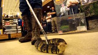 Rockys Snake Master at Cabelas [upl. by Eldreeda]