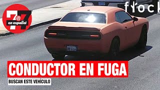 Noticias de Las Vegas  Buscan a conductor de un Dodge Challenger color naranja que huyó [upl. by Golliner]