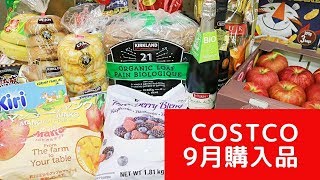 コストコ9月購入品  Sep 2019 COSTCO JAPAN [upl. by Swec]