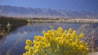 Los Angeles Aqueduct Centennial 2013 [upl. by Yanahc234]