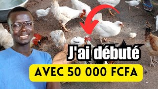 Comment débuter lélevage des Poules Locales avec 50 000 FCFA [upl. by Mendelsohn]