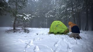 Bushcraft snow camping under heavy fog at 15 degrees  hot tent [upl. by Tnek]