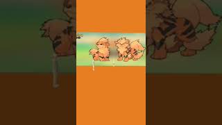 Wow its the Growlithe and Arcanine selfie wall [upl. by Nyrrat598]