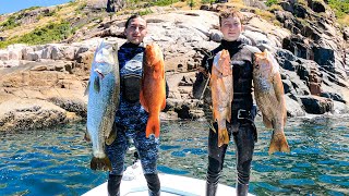 When Inshore Is Clean The Fish Are ON  Spearfishing Inshore Townsville [upl. by Ennairej]