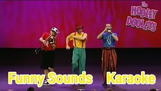 The Hooley Dooleys  Funny Sounds Karaoke [upl. by Ahsila892]