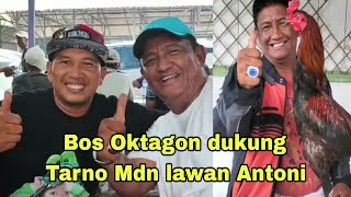 Bos Oktagon dukung Tarno Mdn [upl. by Still]