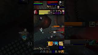 WotLK Classic  Ret Rogue vs Disc Feral feat Ginegatt [upl. by Mulac]