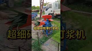 Ultrafine grass pulping machine Grass Pulper livestockmachinery cuttingmachine grasscutting [upl. by Bernadine112]