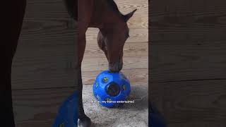 If you have a playful horse then you need this Schneiders Hay Ball Feeder [upl. by Wylma]