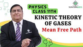 Class 11th – Mean Free Path  Kinetic Theory of Gases  Tutorials Point [upl. by Egag]