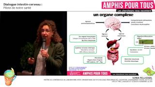 Amphis Pour Tous  Dialogue intestincerveau pilote de notre santé [upl. by Ellertal]