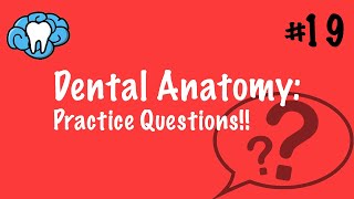 Dental Anatomy  PRACTICE QUESTIONS  INBDE [upl. by Ettenauq233]