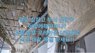 내부단열공사경질우레탄폼 단열공사경질우레탄폼 방수공사우레탄폼경질우레탄폼방수공사지붕개량부식방지결로 방지단열공사 방수공사 지붕개량 부식방지 [upl. by Yrallih]