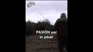 PASIÓN por el Jabalí hunting [upl. by Hsu]