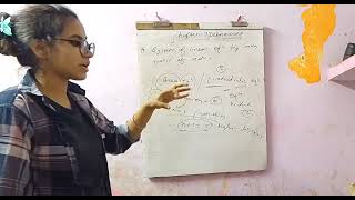 class 12th determinants part 6💯 one shot video  complete ncert 🔥 [upl. by Lyman815]