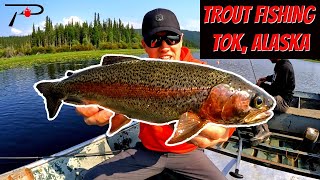 Trout Fishing Tok  Alaska [upl. by Niroht625]