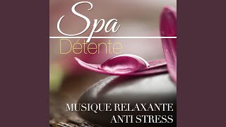 Musique pour lAnxiété le Stress et la Colère [upl. by Milurd]