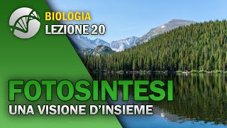 BIOLOGIA  Lezione 20  Fotosintesi Clorofilliana  Introduzione [upl. by Breena92]