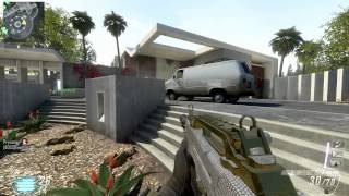 CoD BO2 PC Type 25 going Nuclear on Raid Map  Team Deathmatch [upl. by Eycats507]