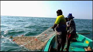 PRAWN CATCHING AT SEA [upl. by Daphna]