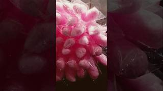 Cotton candy video bhudiya ke balmusic [upl. by Annekam893]