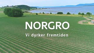 Norgro  Løk [upl. by Ennayhs]