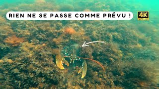 Course poursuite avec deux homards lors dune pêche en apnée  Chasse sous marine Bretagne sud [upl. by Sitto792]