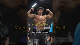 The ultimate 5 day training split 🔥 motivation bodybuilding aesthetic [upl. by Nereen]