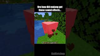 Minecraft meme [upl. by Rotsen]