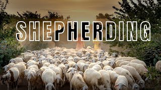 Johan Meeding Shepherding [upl. by Ruffin]