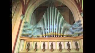 Prince of Denmarks March Pipe Organ and Trumpet [upl. by Nazario]