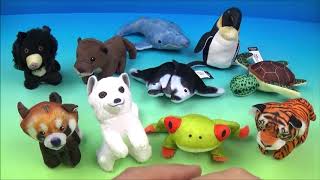 2018 NATIONAL GEOGRAPHIC FULL SET OF 10 McDONALDS HAPPY MEAL PLUSH COLLECTION VIDEO REVIEW [upl. by Akaya]