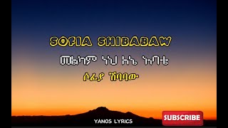 Sofia Shibabaw  መልካም ነህ ለኔ አባቴ  ሶፊያ ሽባባው  Melkam Neh Lene Abate  Official Lyrics Video [upl. by Haliek]