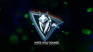 🐺Knife Party amp Zazafront  Left Rad White Wolf DnB Mashup🐺 [upl. by Inahc]